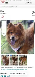Max image 1