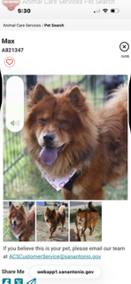 Photo 2 of MAX