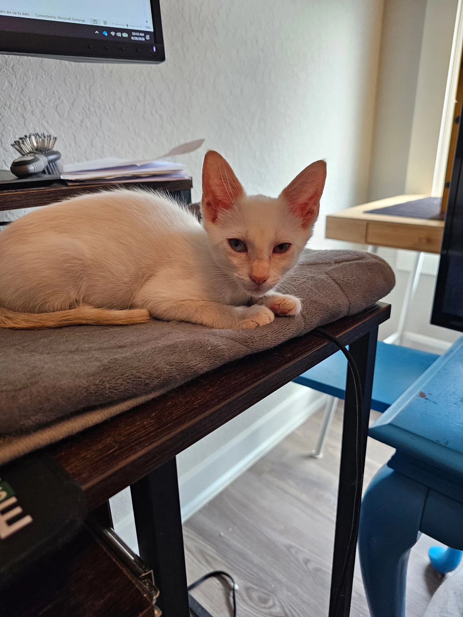 Nimbus