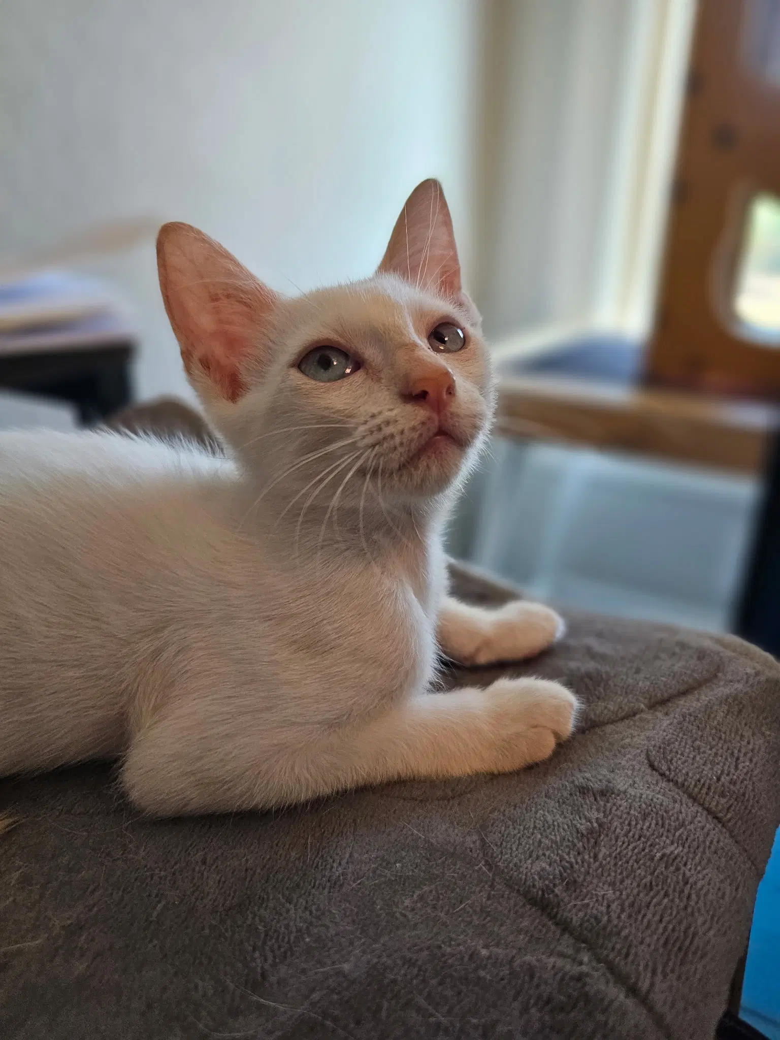 Nimbus image 2