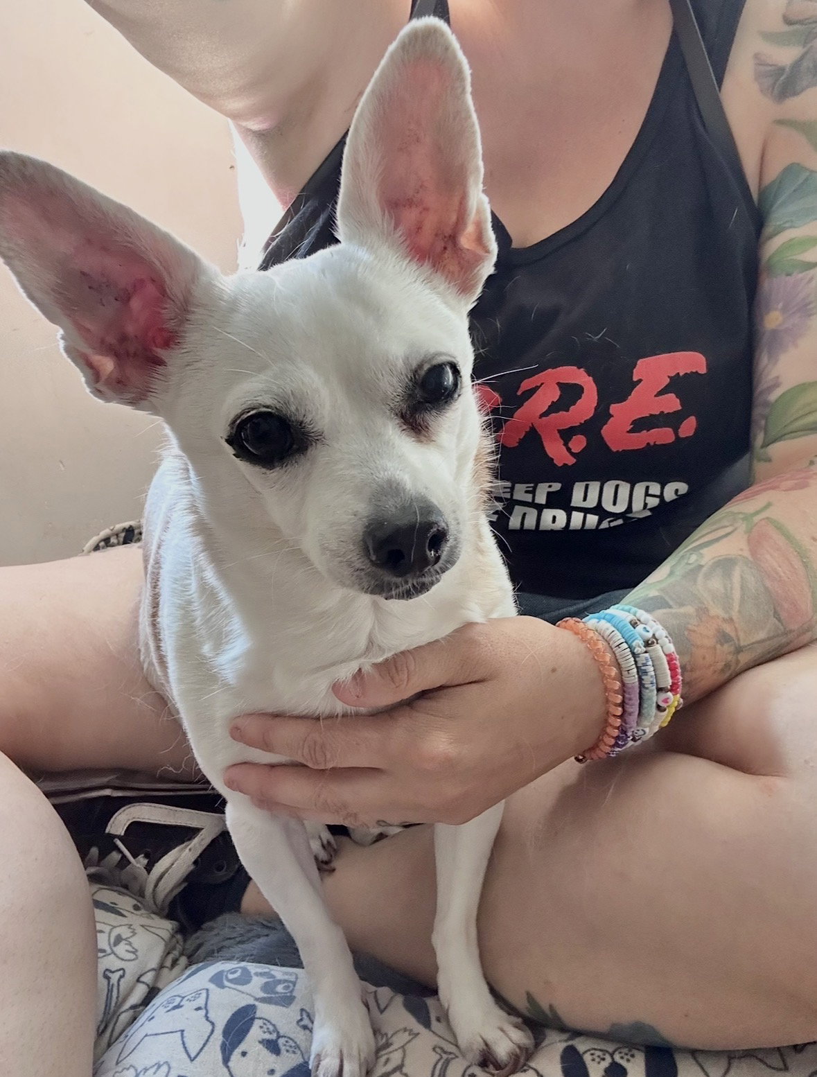 Lulu