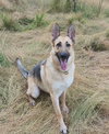 Freya - Photo 2