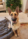 Freya - Photo 9