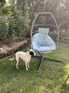 Luna - Photo 9