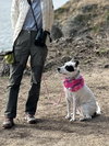 Luna - Photo 3