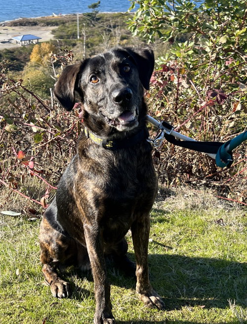 Taz photo 6