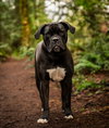 Penny - Photo 3