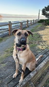 Kelly - Photo 24