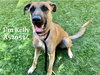 Kelly - Photo 22