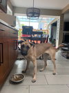 Kelly - Photo 20