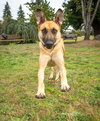 Kelly - Photo 7
