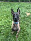 Felon - Photo 4