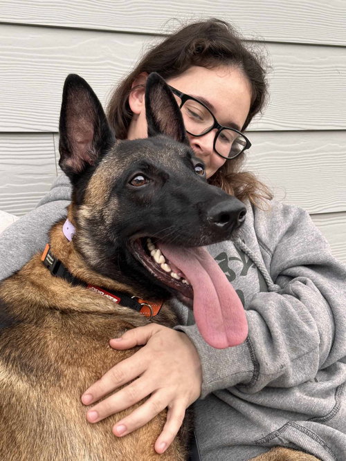 picture of the dog needing adoption