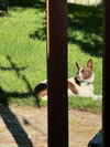Aragorn - Photo 7