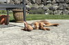 Palmer - Photo 6