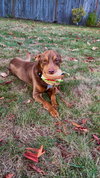 Palmer - Photo 9