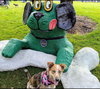 Rusty - Photo 5