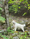 Wiley - Photo 3