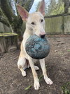 Sherbert - Photo 1