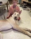 Sherbert - Photo 2