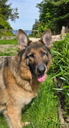 Rico - Photo 7
