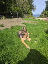 Rico - Photo 5