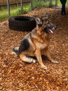 Rico - Photo 6