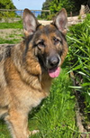 Rico - Photo 2