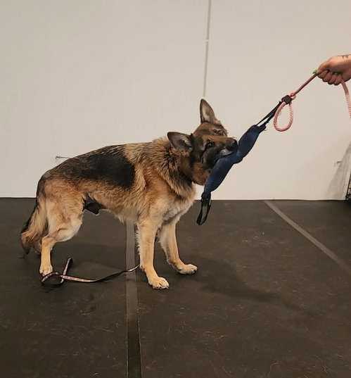 Rico