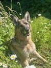 Rico - Photo 8