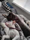 Nellie - Photo 4