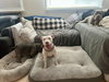 Nellie - Photo 7