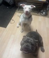 Nellie - Photo 5