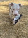 Nellie - Photo 9