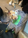Nellie - Photo 8