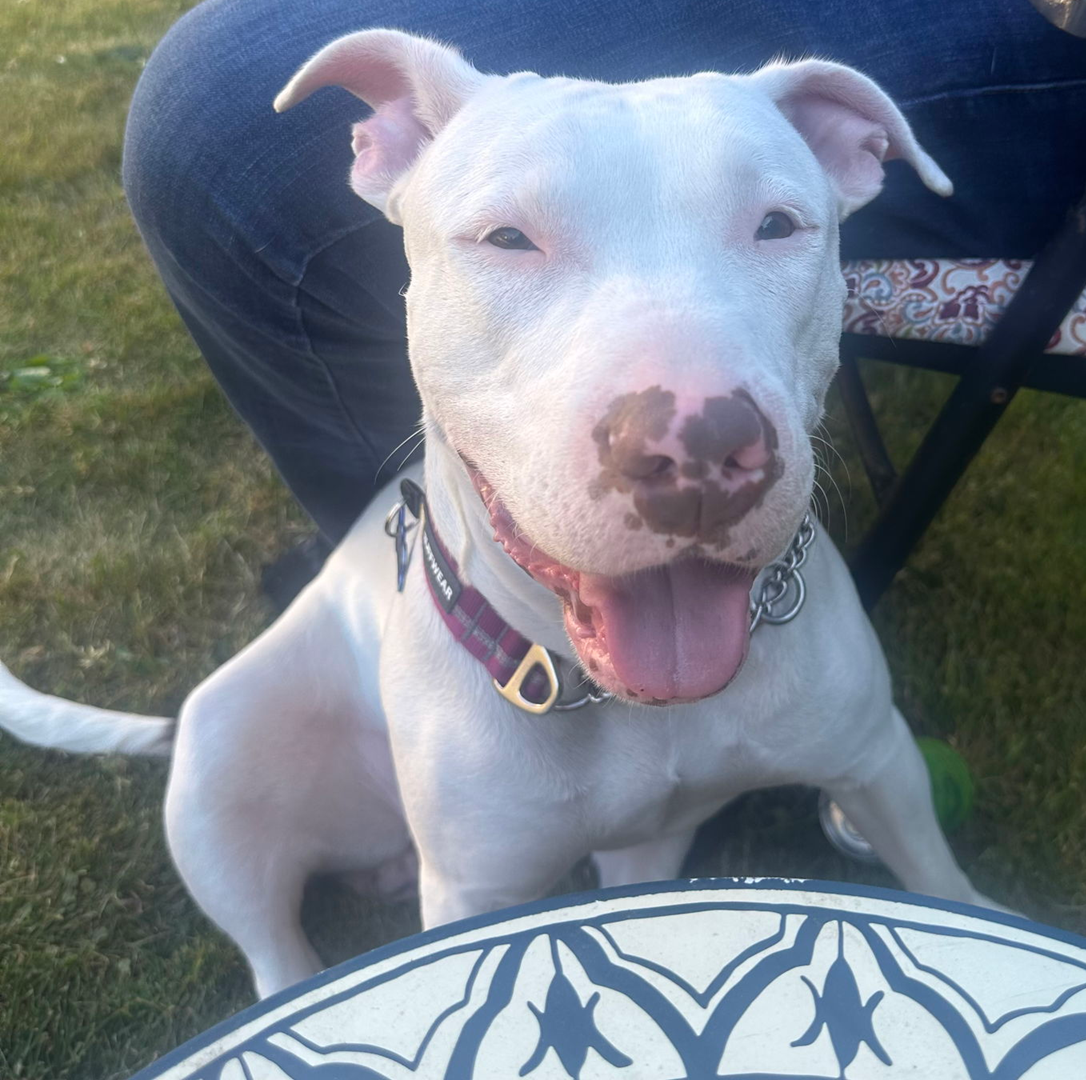 Nellie