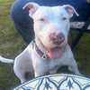 Nellie - Photo 3