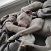 Nellie - Photo 6