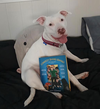 Nellie - Photo 2