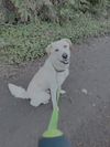 Charlie - Photo 5