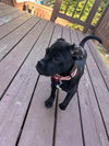 Apple - Photo 13