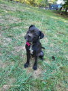 Apple - Photo 12