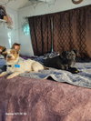 Apple - Photo 3
