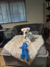 Blaze - Photo 3