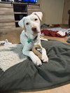 Blaze - Photo 1
