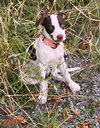 Jane - Photo 2