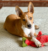 *Evie -- PENDING - Photo 1