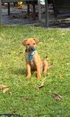 Brock - Photo 7