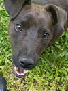 Victor - Photo 6