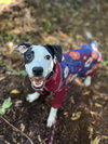 Lefty - Photo 6